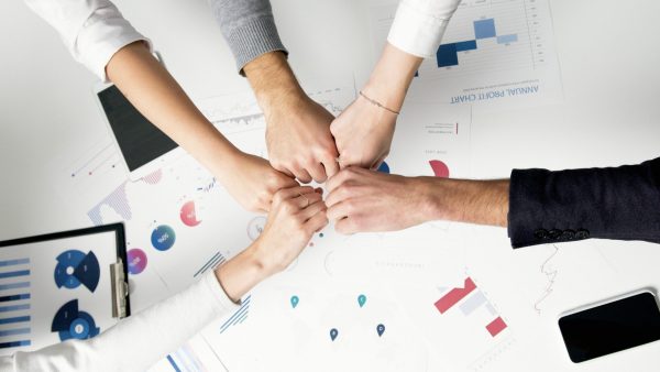 Smart IT Free Colleagues celebrate success with a fist bump over financial charts depicting teamwork and unity. Stock Photo